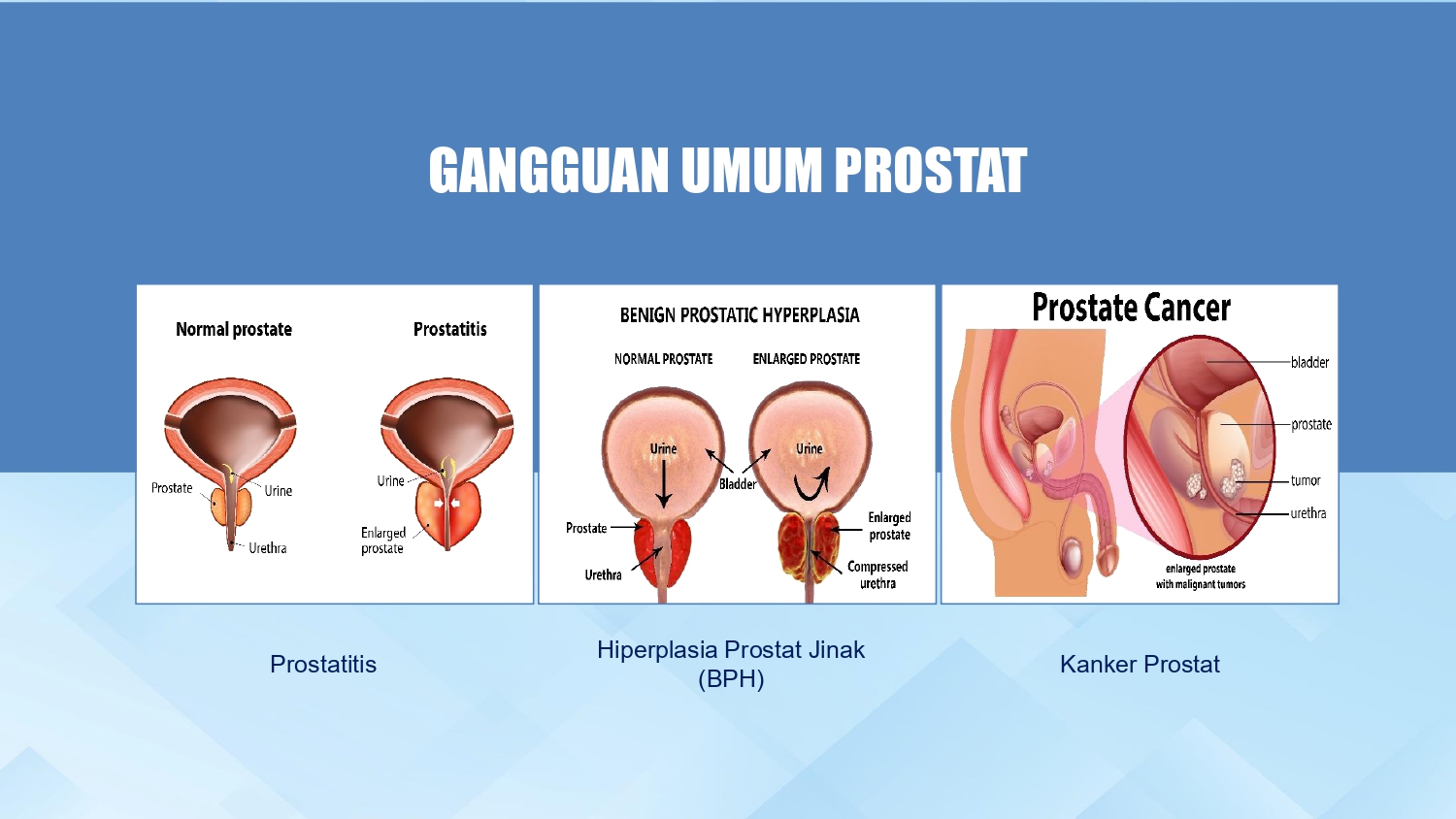 Education content image